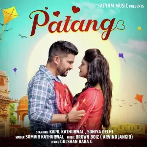 Patang image