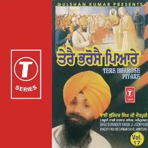 Tere Bharose Piyare image