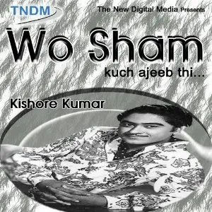 Wo Sham Kuch Ajeeb Thi image