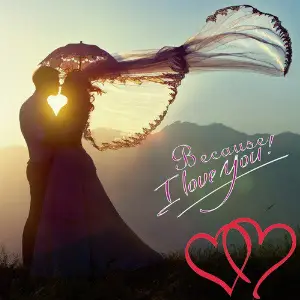 Because I Love You image