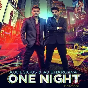 One Night (feat. Audesious) - Single image