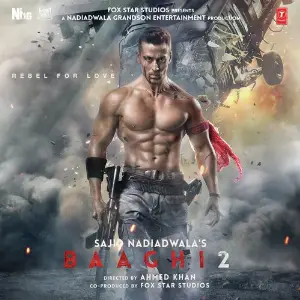 Baaghi 2 Sandeep Shirodkar, Panjabi MC, Arko, Mithoon
