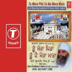 Tu Mera Pita Tu Hai Mera Mata (Vol. 80) (Part 1) image