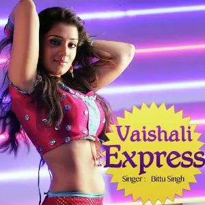 Vaishali Express image