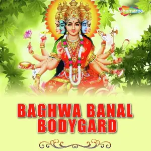 Baghwa Banal Bodygard image