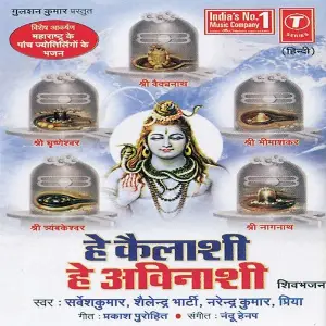 Hey Kailashi Hey Avinashi image
