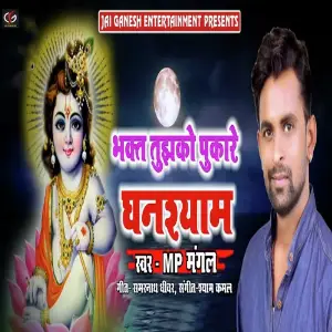 Bhakt Tujhko Pukare Ghanshyam image