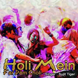 Holi Mein Far Dem Choli image