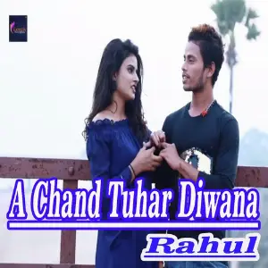 Ae Chand Tuhar Diwana image