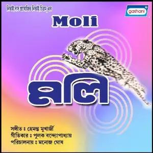 Moli image