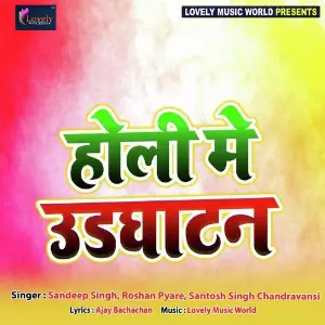 Holi Me Udghatan image