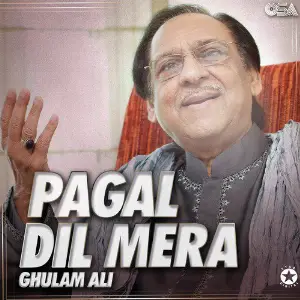 Pagal Dil Mera image