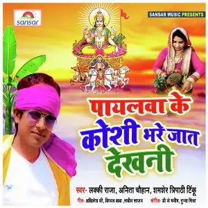 Payalwa Ke Kosi Bhare Jaat Dekhani image