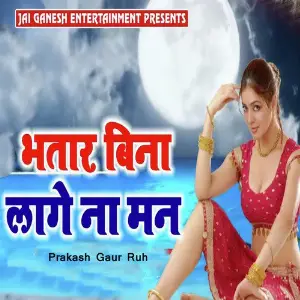 Bhatar Bina Lage Na Man image