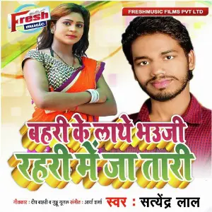 Bahari Ke Lathe Bhauji Rahari Me Ja Tari image