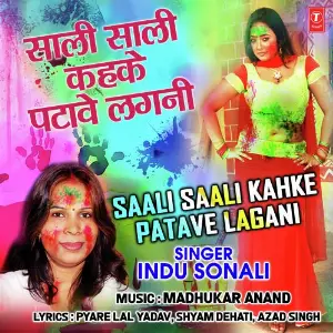 Saali Saali Kahke Patave Lagani image
