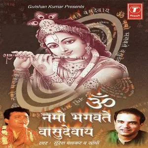 Om Namo Bhagwate Vasudevaye image
