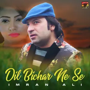 Dil Bichar Ne Se - Single image