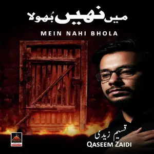 Mein Nahi Bhola image