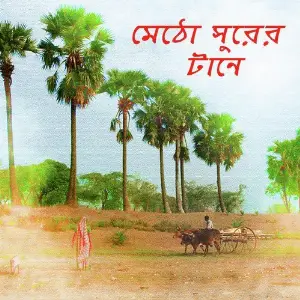 Metho Shurer Taane image