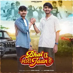 Bhai Tu Maari Jaan He image