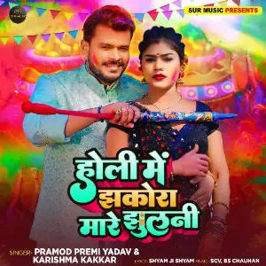 Holi Me Jhakora Mare Jhulani image