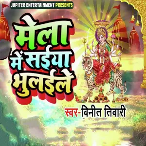 Mela Me Saiya Bhulaile image