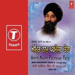 Amrit Naam Parmesar Tera (Vol. 49) image
