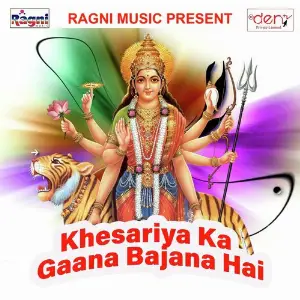 Khesariya Ka Gaana Bajana Hai image