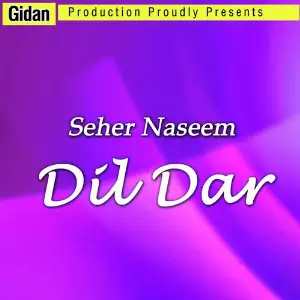 Dil Dar image