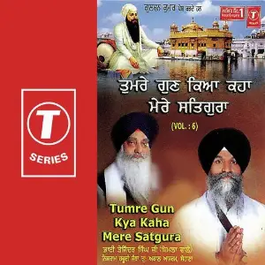 Tumre Gun Kya Kaha Mere Satgura (Vol. 6) image