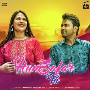 Humsafar Tu image