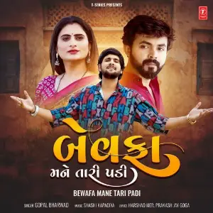 Bewafa Mane Tari Padi image
