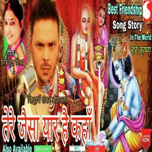 Tere Jaisa Yar Hai Kaha image