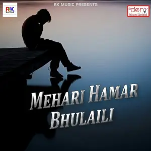 Mehari Hamar Bhulaili image