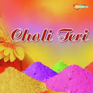 Choli Teri image