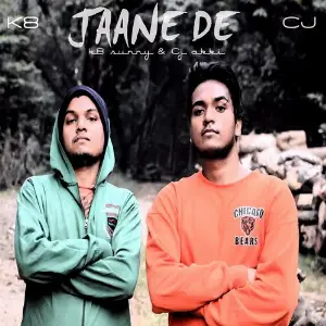 Jaane De image