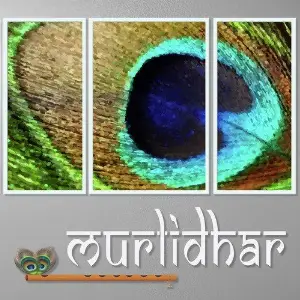 Murlidhar image
