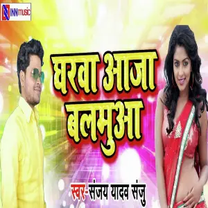 Gehuya Katab Nahi Jake Raja Tale Me image