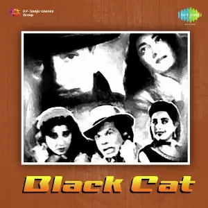 Black Cat image