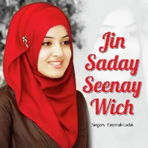 Jin Saday Seenay Wich image