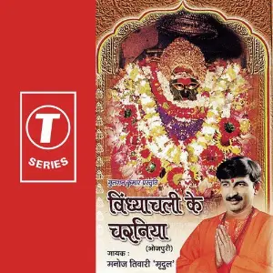 Vindhyachal Ke Charniya image