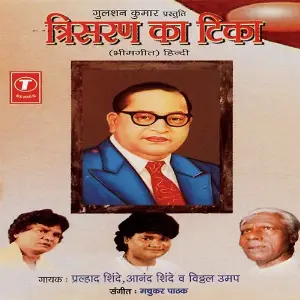 Trisaran Ka Tika image