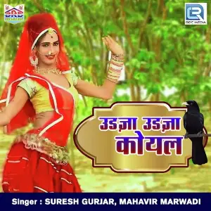 Bhabhi Nakharali Suresh Gurjar, Mahavir Marwadi