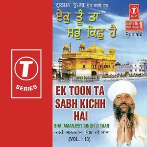 Ek Toon Ta Sabh Kichh Hai (Vol. 13) image