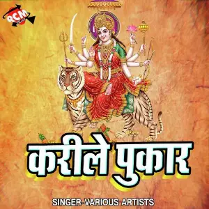 Karile Pukar image