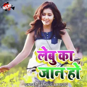 Lebu Ka Jaan Ho image