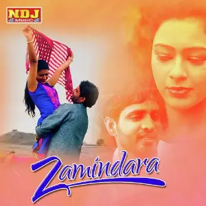 Zamindara image