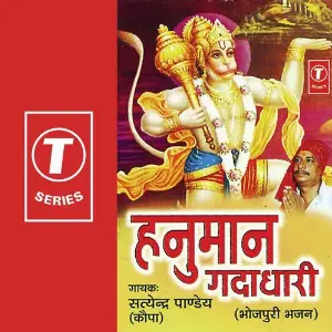 Hanuman Gadadhaari image