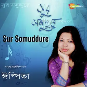 Sur Somuddure image